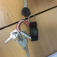 Sleutelbos, ha sido reportado por Transdev Hoeksche Waard Goeree Overflakkee con iLost