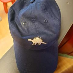 Casquette S dinosaurem, as reported by IKEA Brno using iLost