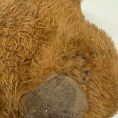 Toy, as reported by Het Amsterdamse Winterterras using iLost