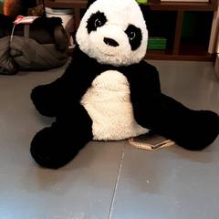 Knuffel panda panda, come riportato da Diergaarde Blijdorp utilizzando iLost