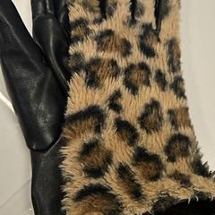 Kesztyű Luipaard, amint azt Vrije Universiteit Amsterdam az iLost segítségével jelentette.