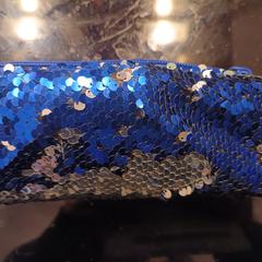 Blauwe etui がiLostに報告されました