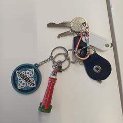 Sleutelbos, segons s'ha informat a iLost