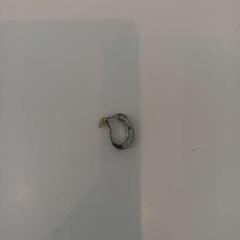 Náušnice, jak nahlášeno Arriva Limburg Zuid pomocí iLost