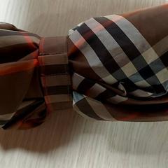 Paraigües, segons ha informat Regio Antwerpen - Brussel mitjançant iLost