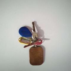Keychain, as reported by Twisto using iLost
