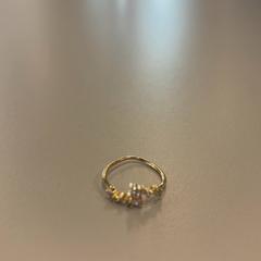 Anel, segundo informou Heidelberglaan 15 usando iLost