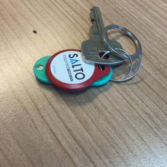 Llavero sleutels met tag, ha sido reportado por RRReis Veluwe Zuid - Apeldoorn con iLost