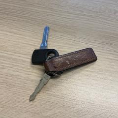 Nøkkelring, som rapportert av Gemeente Arnhem ved bruk av iLost