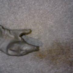 إكسسوارات الملابس، كما تم الإبلاغ عنه بواسطة SnowWorld Landgraaf عبر iLost