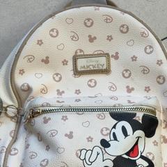 Rugzak mickey, zoals gemeld door Regio Antwerpen - Brussel met iLost