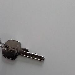Key, as reported by ilévia using iLost