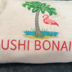 Case, as reported by Rotterdam The Hague Airport using iLost