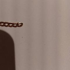 Polsera, segons ha informat De Efteling mitjançant iLost