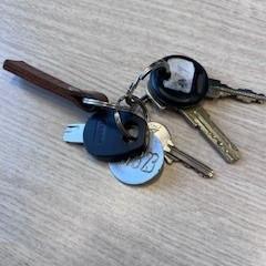 sleutels, ako bolo nahlásené iLost