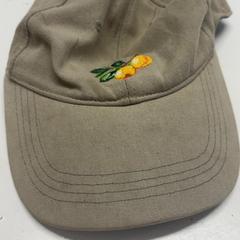 Gorra, ha sido reportado por Avonturenpark Hellendoorn con iLost