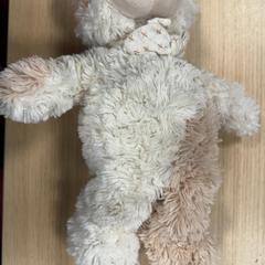 Peluxea beer, gisa salatu by Pathé Amsterdam Noord iLost erabiliz