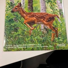 달력, iLost를 사용하여 IKEA Mons에 보고됨