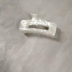 Haarklip Wit, zoals gemeld door Arriva Friesland / Groningen met iLost