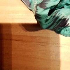 Badebukser, som rapportert av Beekse Bergen Resorts en Hotel ved bruk av iLost