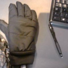 Guante, ha sido reportado por SnowWorld Landgraaf con iLost