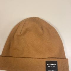Beanie Alternative Future, ako bolo nahlásené Pathé Schiedam pomocou iLost