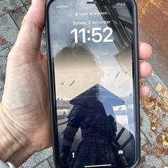 Iphone, as reported to iLost