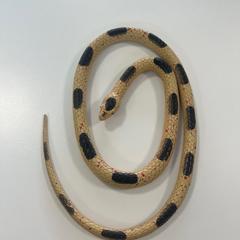 Speelgoedslang, segons ha informat Gemeente Ede mitjançant iLost