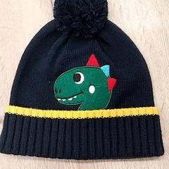 Hat, as reported by Arriva Limburg Zuid using iLost