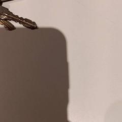 Chaves, segundo informou De Efteling usando iLost