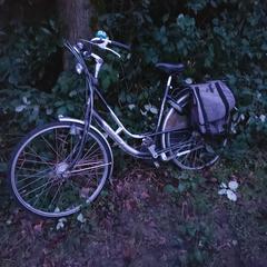 Fiets gazelle, ako bolo nahlásené iLost