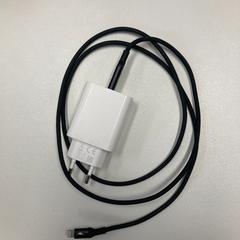 充電器 Black がiLostで Ramada by Wyndham Amsterdam Airport Schiphol によって報告されました