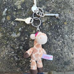 Sleutelbos an iLost gemeldet