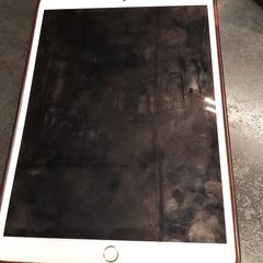 İLost kullanarak Rotterdam The Hague Airport tarafından bildirildiği gibi Ipad