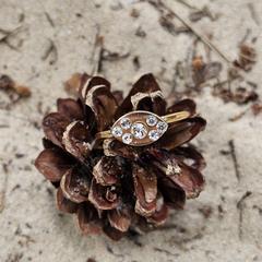 Ring an iLost gemeldet