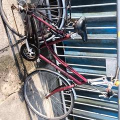 Damcykel giant, rapporterat av Stadswerk072 med iLost
