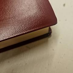 Book, as reported by HTM using iLost