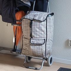 Boodschappen wagentje, come riportato a iLost