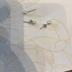 귀걸이, iLost를 사용하여 Van der Valk Hotel Gorinchem에 보고됨