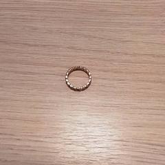 İLost kullanarak Qbuzz Fryslân tarafından bildirildiği gibi Yüzük Goudkleurig