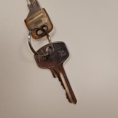 Sleutels, iLost'a bildirildiği gibi