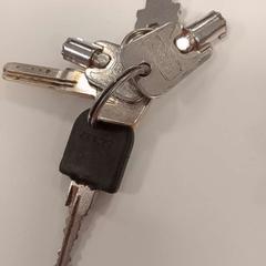 Klíčenka sleutelbos, jak nahlášeno HU Amersfoort pomocí iLost