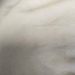 Jute tas Wit, zoals gemeld door Regio Antwerpen - Brussel met iLost