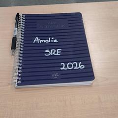 Livre, a été signalé par IKEA Leangen utilisant iLost