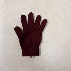 グローブ Paars/rood がiLostで Qbuzz GD Groningen Peizerweg によって報告されました