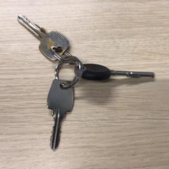 Sleutels, iLost를 사용하여 Gemeente Arnhem에 보고됨