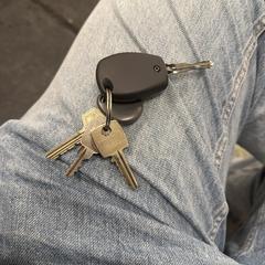 Sleutelbos, como reportado ao iLost