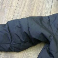 Dzseki, amint azt Walibi Holland az iLost segítségével jelentette.