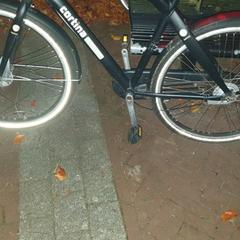 Zwarte cortina opknapper, as reported to iLost