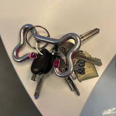 Klíče, jak nahlášeno UMC Utrecht pomocí iLost